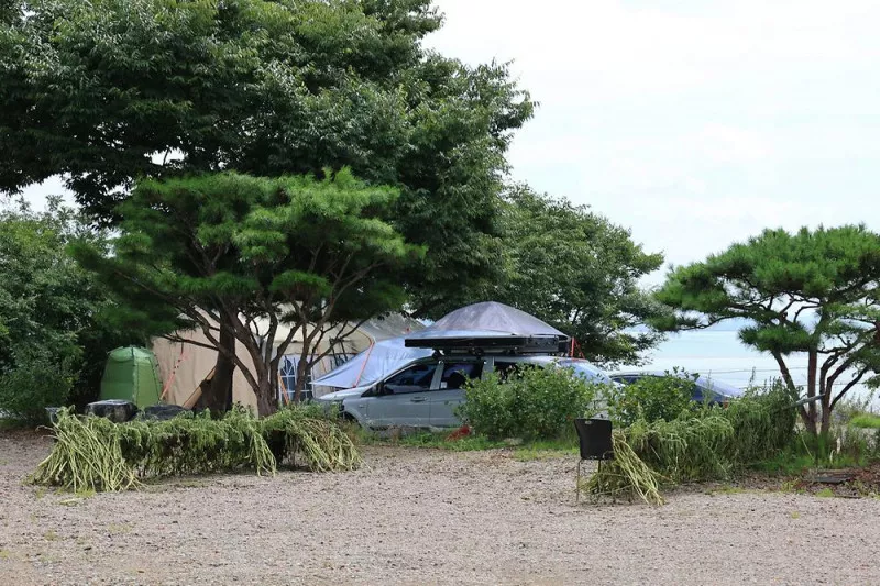 매향리 캠핑장 6