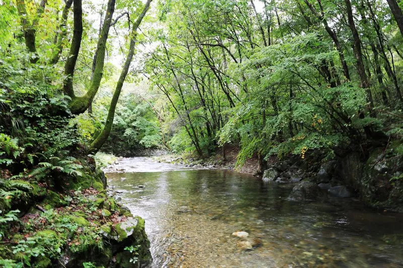 산마을 풍경 8