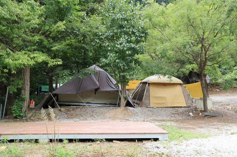 서운산캠핑장 6