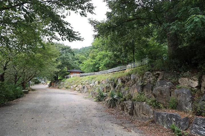 서운산캠핑장 1