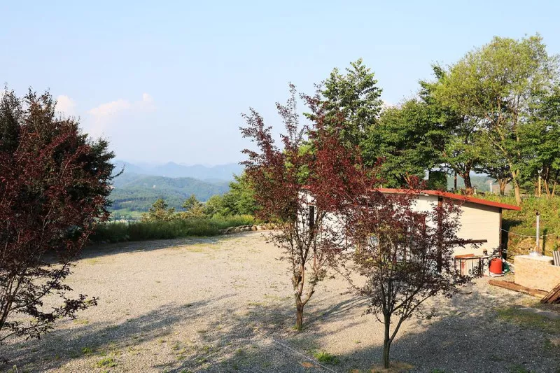 꼬꼬토피아 캠핑 11