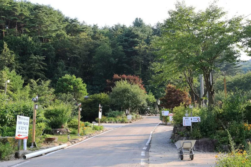 꼬꼬토피아 캠핑 3