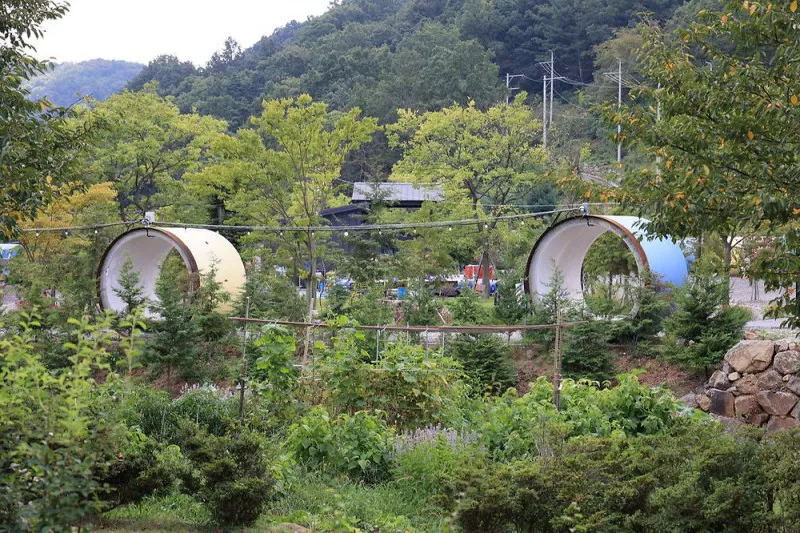 더멍스테이 8