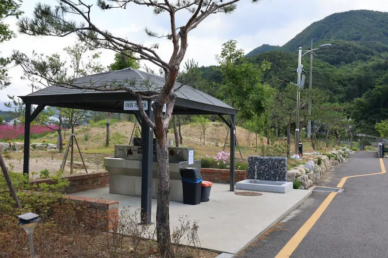포레스트 3