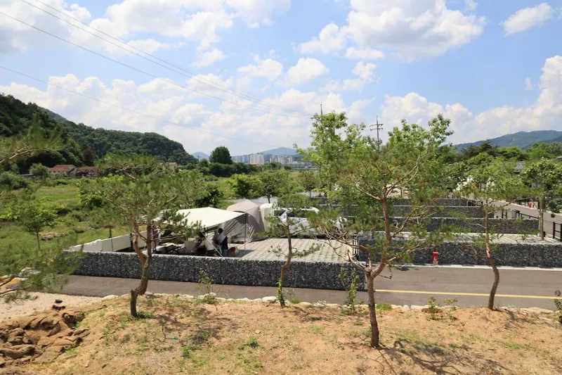 포레스트 11