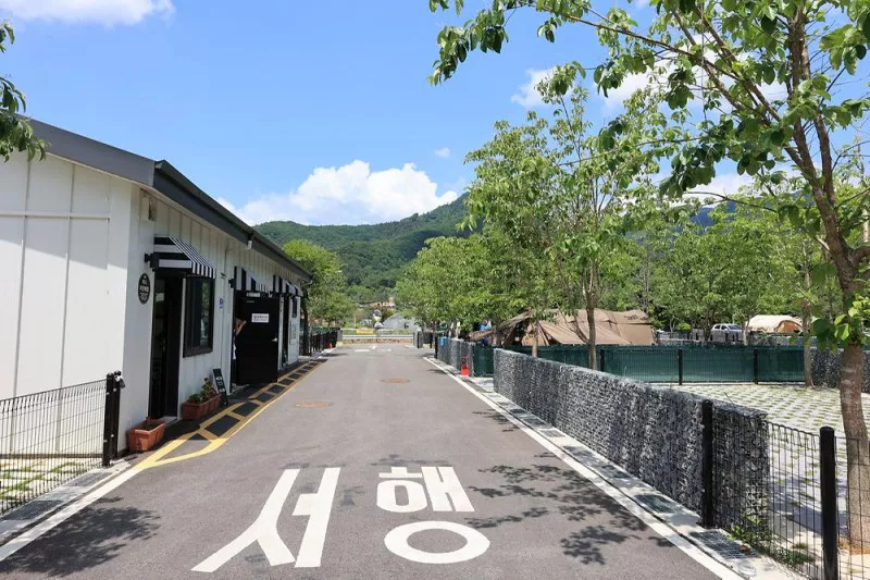 포레스트 7