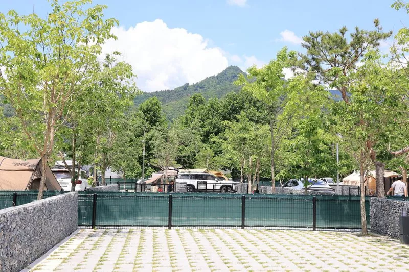 포레스트 9