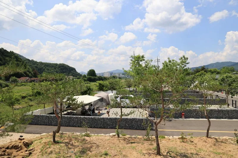 포레스트 10