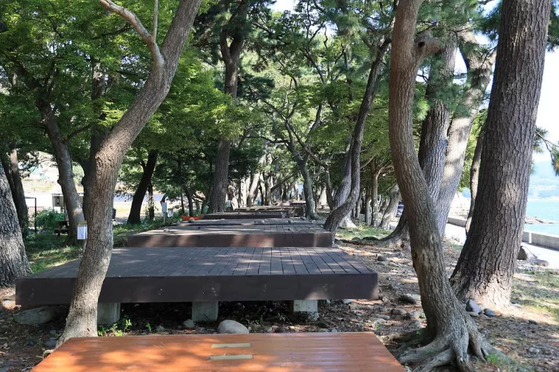 숙호야영장 4