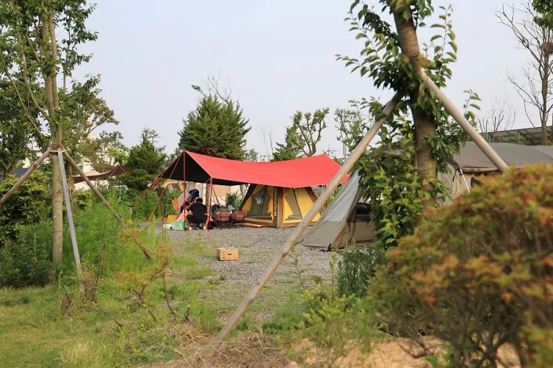 버드오토캠핑장 5