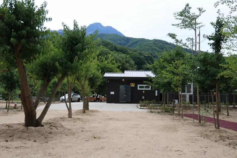 도마치 자연그대로 캠핑장 10