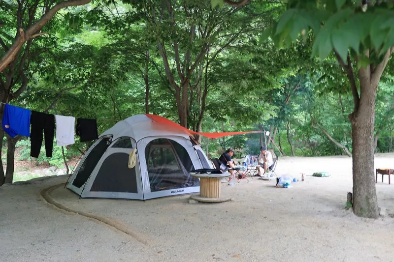 도마치 자연그대로 캠핑장 7