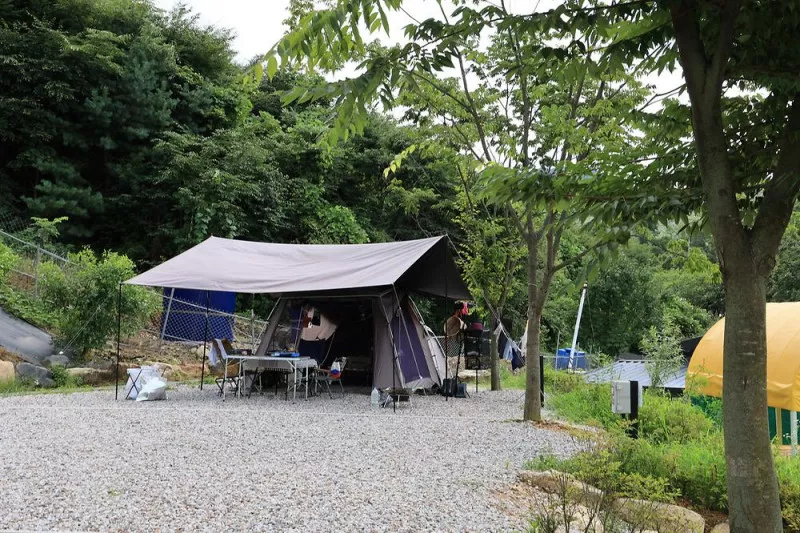 농업회사법인 시즌온 주식회사 2