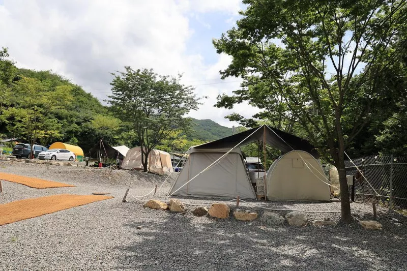 농업회사법인 시즌온 주식회사 6