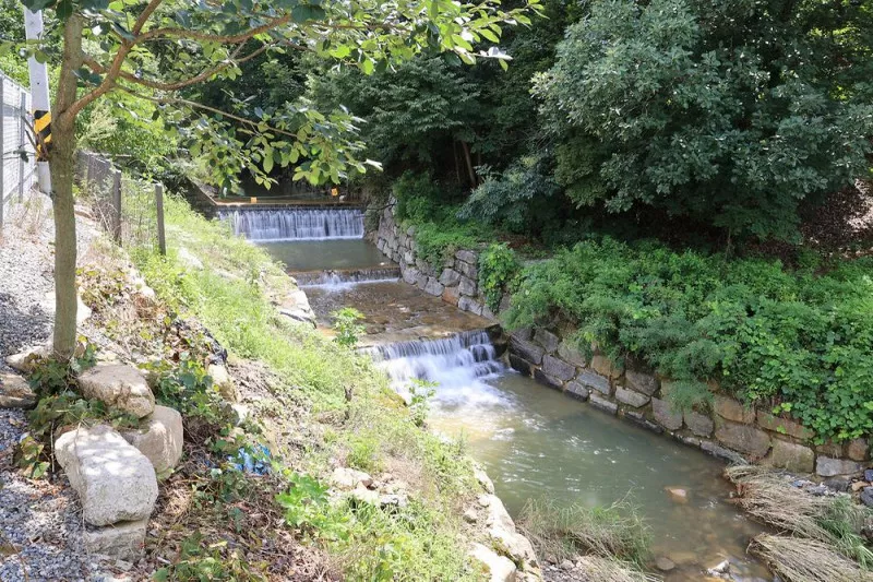 농업회사법인 시즌온 주식회사 11