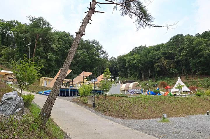 푸르른 캠핑장