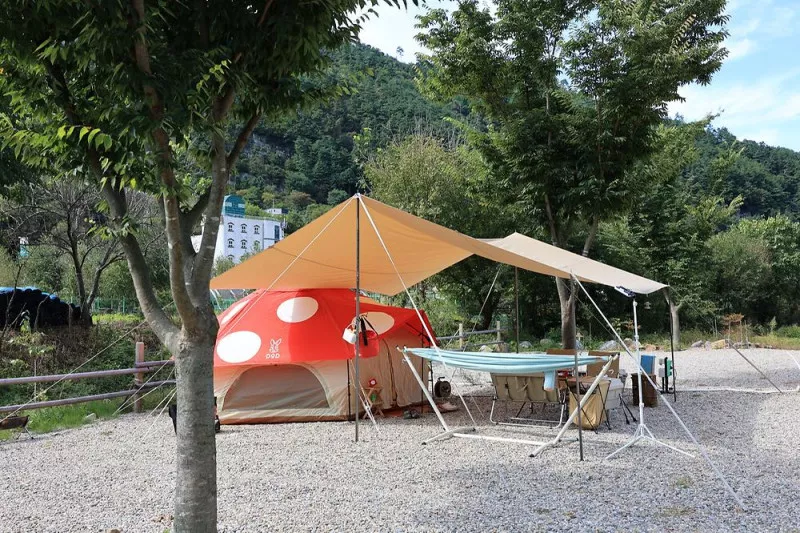 라만차의 돈키호테 캠핑장 11