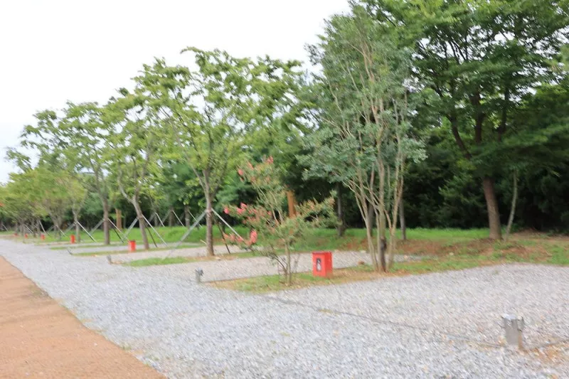 베르아델 승마클럽 7