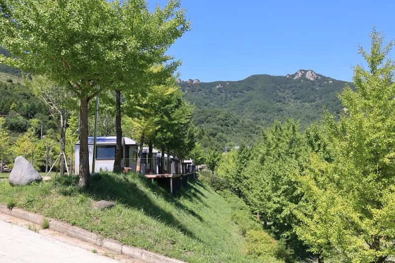 황매산 숲속야영장 7