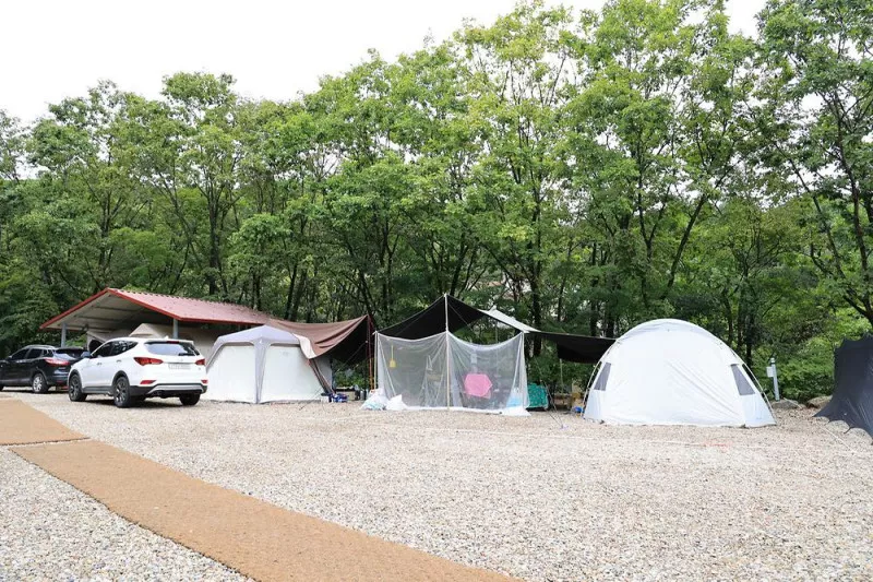 평창바샘캠핑장 3