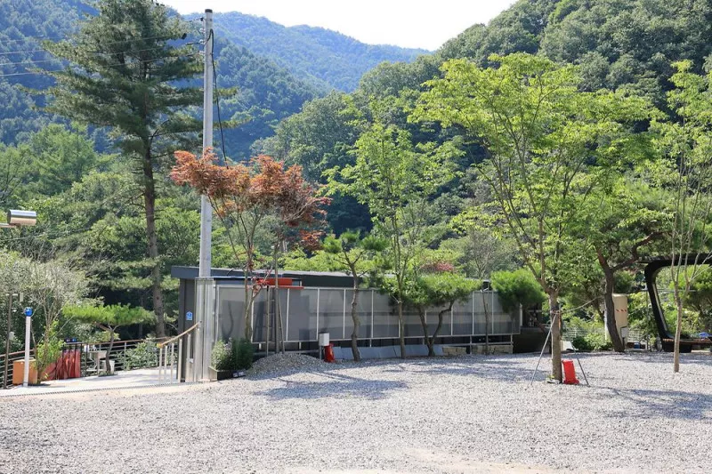 별숲캠핑장 3