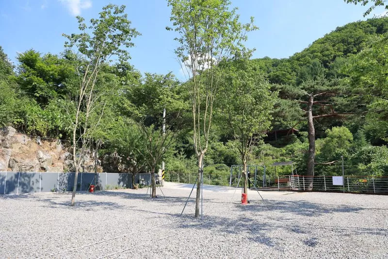 별숲캠핑장 4