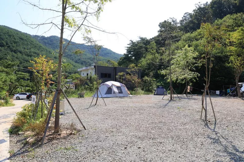 연꽃자리캠핑타운 9
