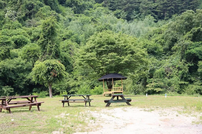 하늘숲빌리지글램핑 10