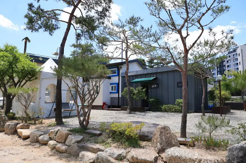 탐선골캠핑장 8
