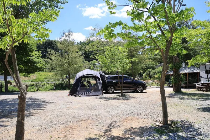 탐선골캠핑장 11