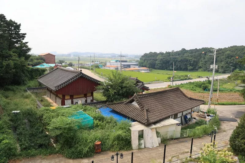 포레스트 도일 6