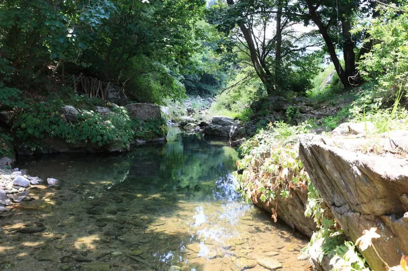 딩동댕캠핑장 10