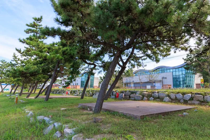 동호 국민여가캠핑장 7
