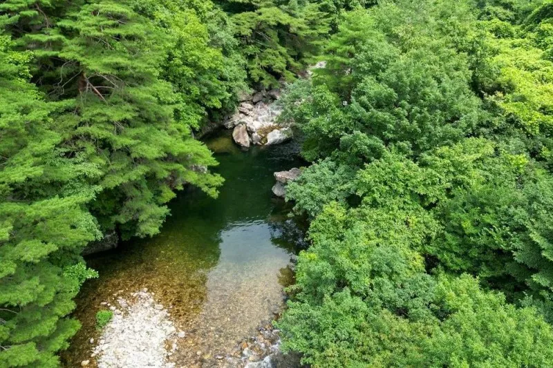 캠프우아 7