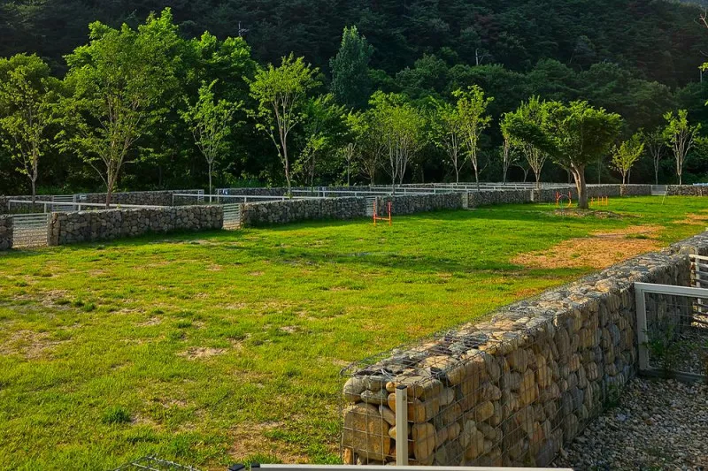 벨캠핑장 11
