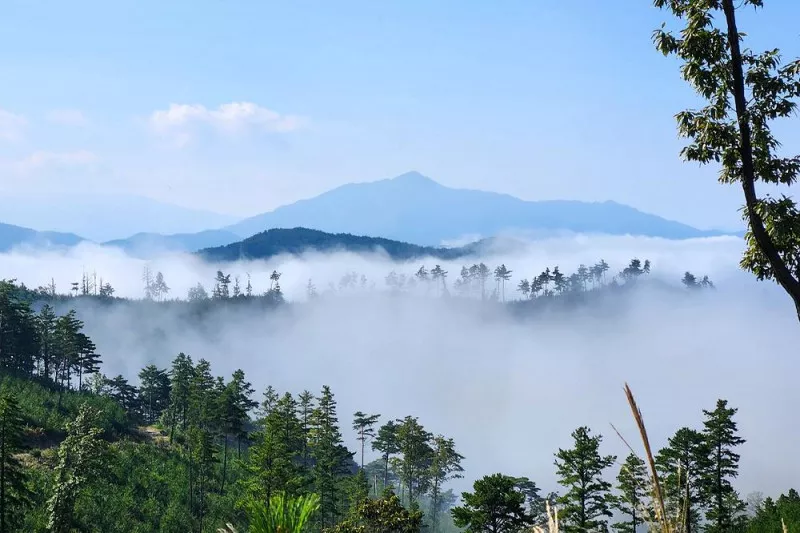 단양오지캠핑장 4