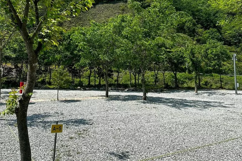 황토하우스캠핑장 8