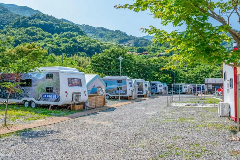 지리산 포레스트 카라반 파크 10