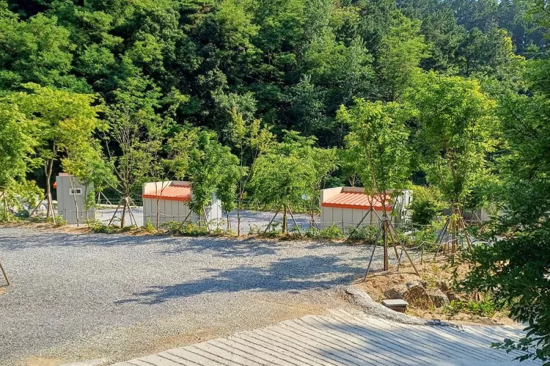 몽상핀 8