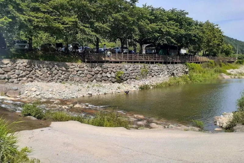 다시캠핑장위드펫 3