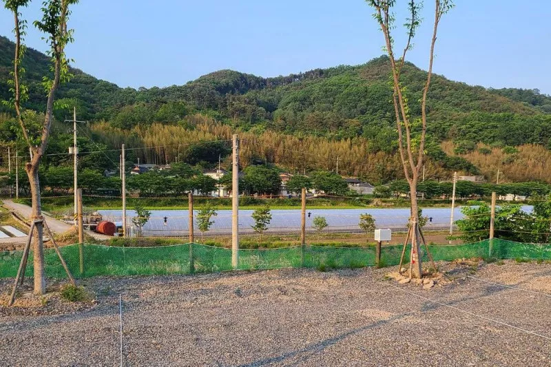 다시캠핑장위드펫 8