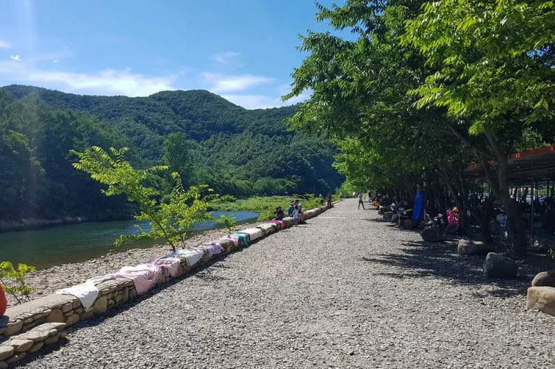 솔밭캠핑장 10
