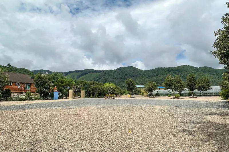 솔밭캠핑장 11