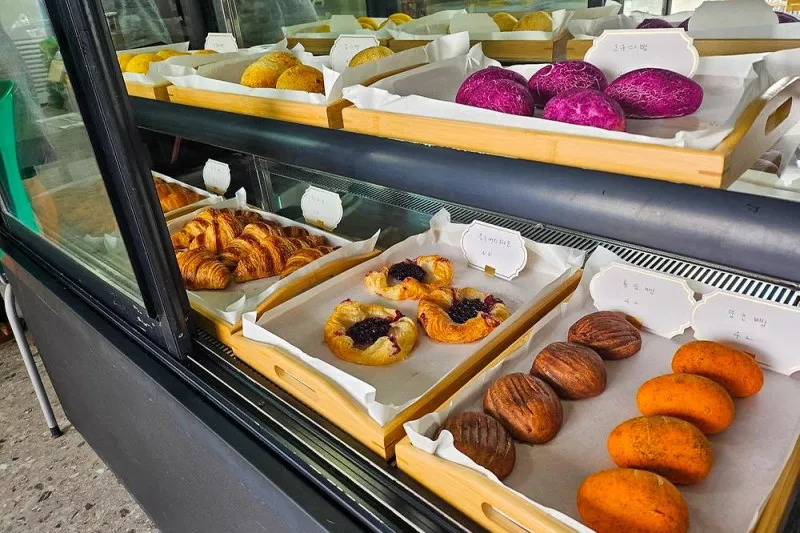 오로라 캠핑장 8