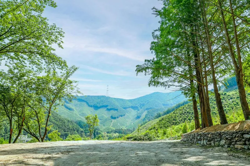 (주)스노우라인캠핑빌리지 7