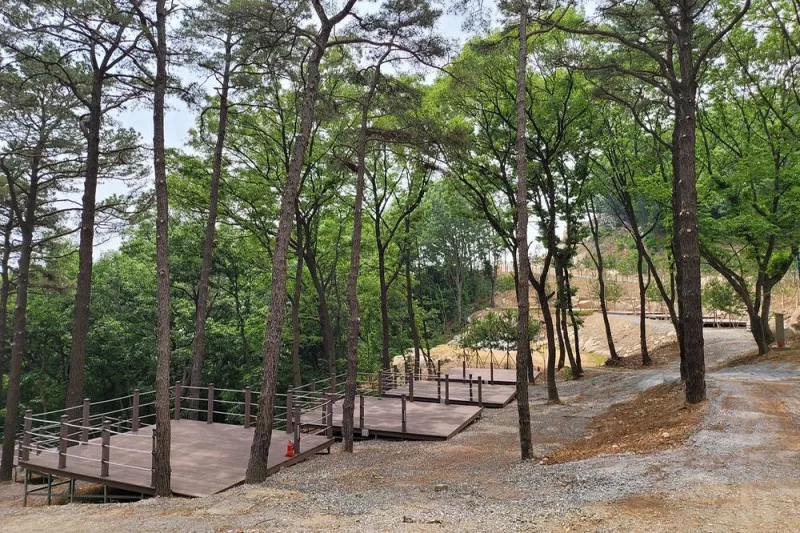 캠프그라운드 화온 9