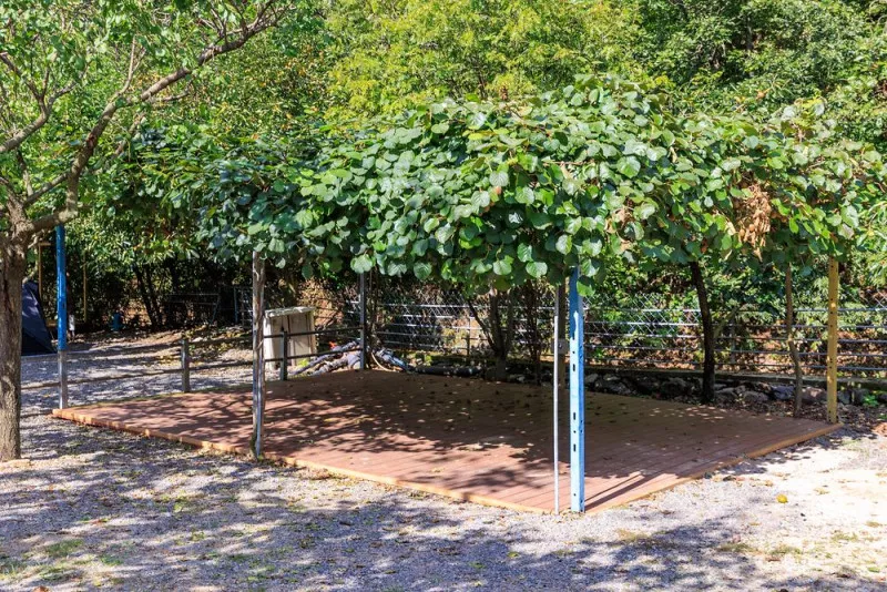 경산 모골캠핑장 4