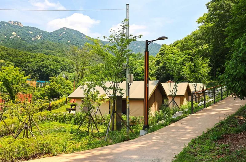 북한산 사기막야영장 10