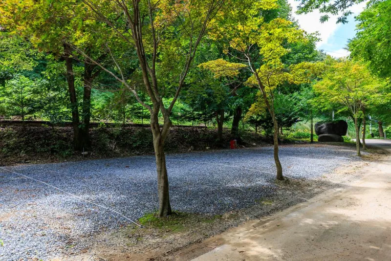 벌곡 산속 캠핑장 8