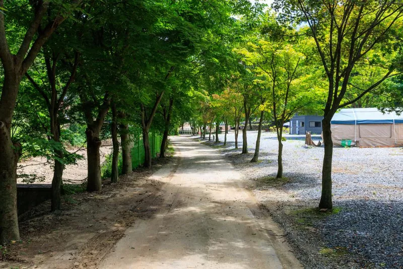 벌곡 산속 캠핑장 7
